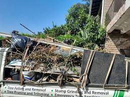 Demolition Debris Removal in Kaumakani, HI